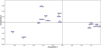 Comparing Class II MHC DRB3 Diversity in Colombian Simmental and Simbrah Cattle Across Worldwide Bovine Populations